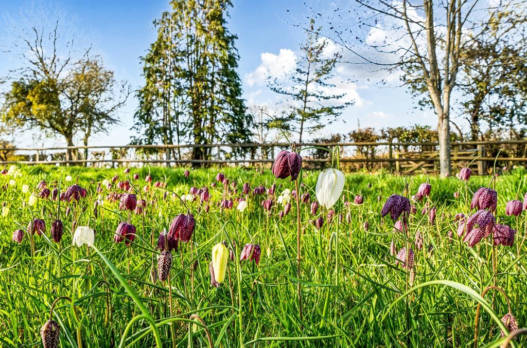 1430778-2-69b9958...