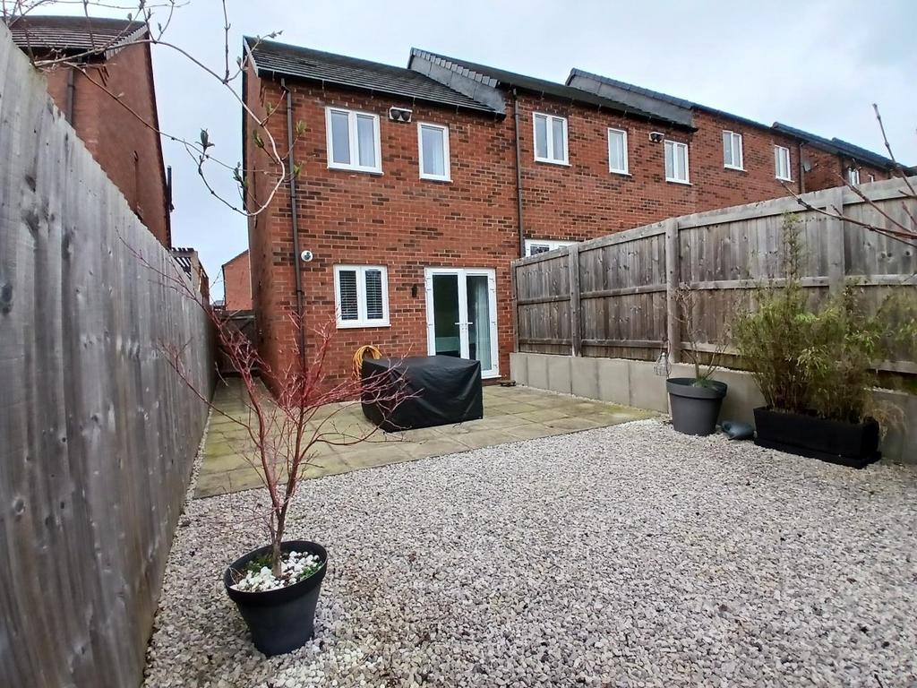 20260223 154657 resized.jpg