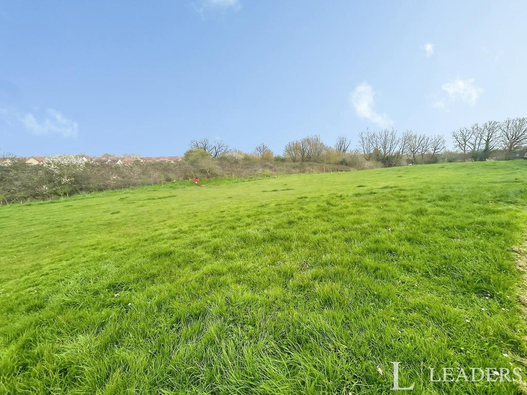 Field Opposite