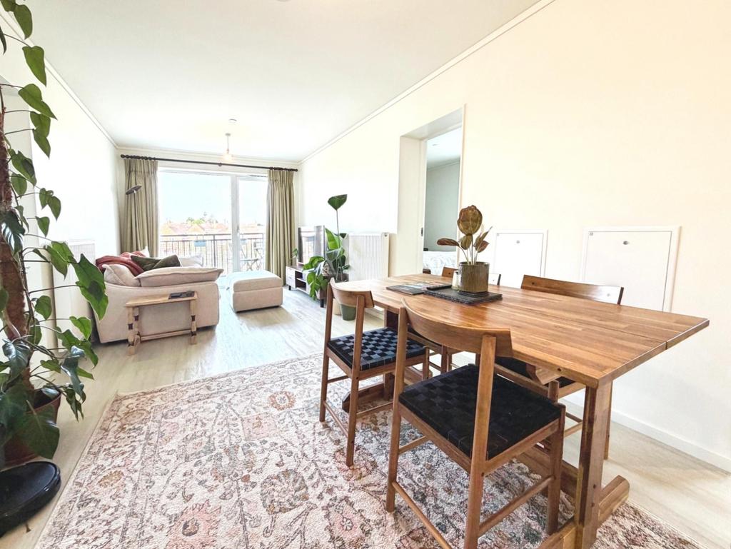 Open Plan Lounge / Dining