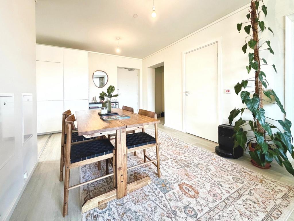 Open Plan Lounge / Dining