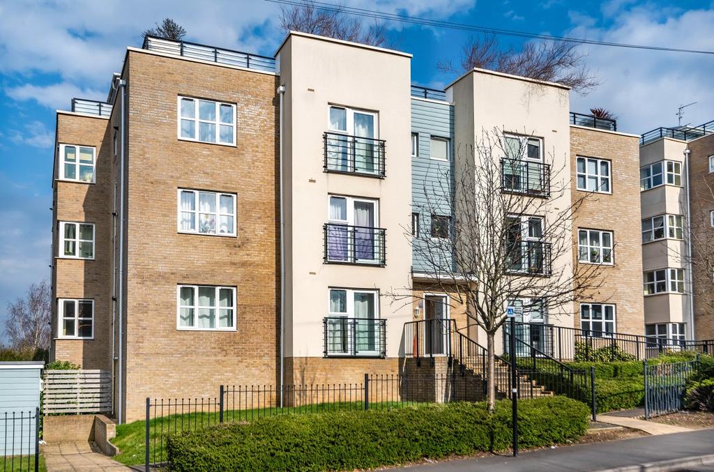 Picture No. 02