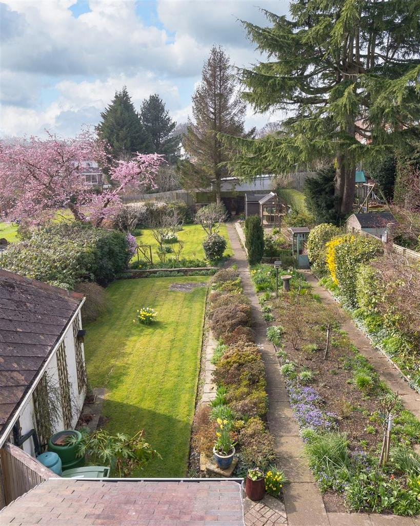 Untitled (17 of 32).jpg