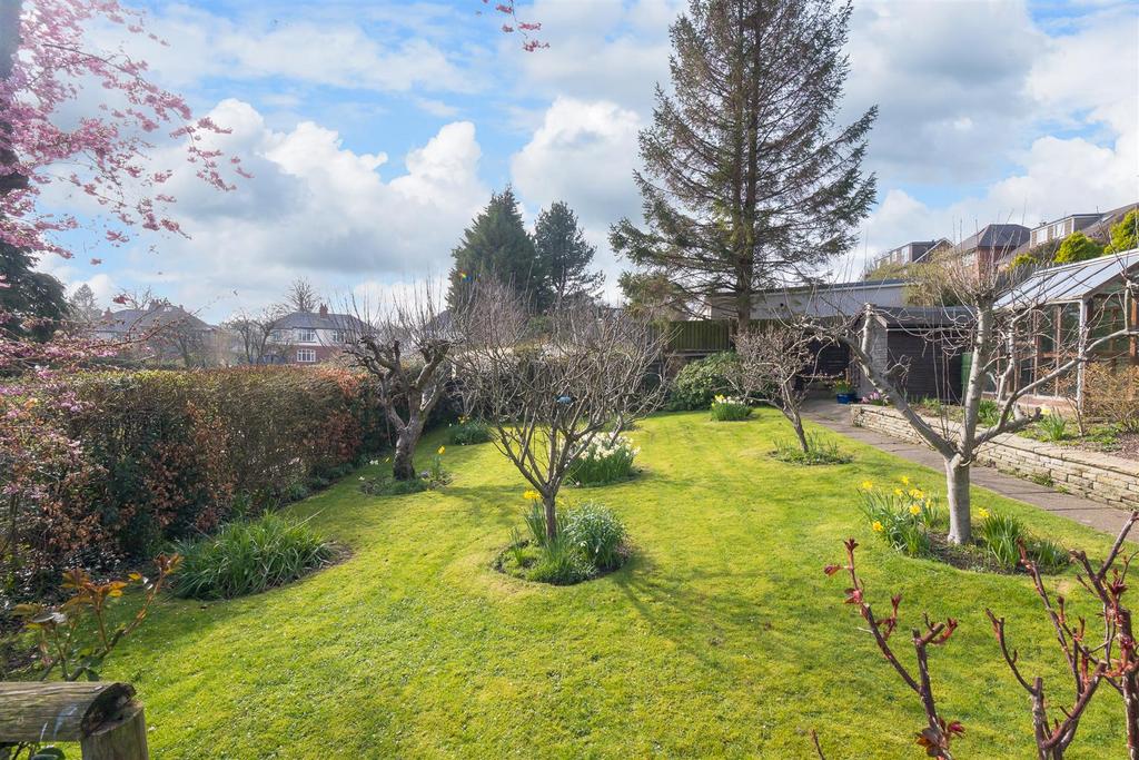 Untitled (10 of 34).jpg