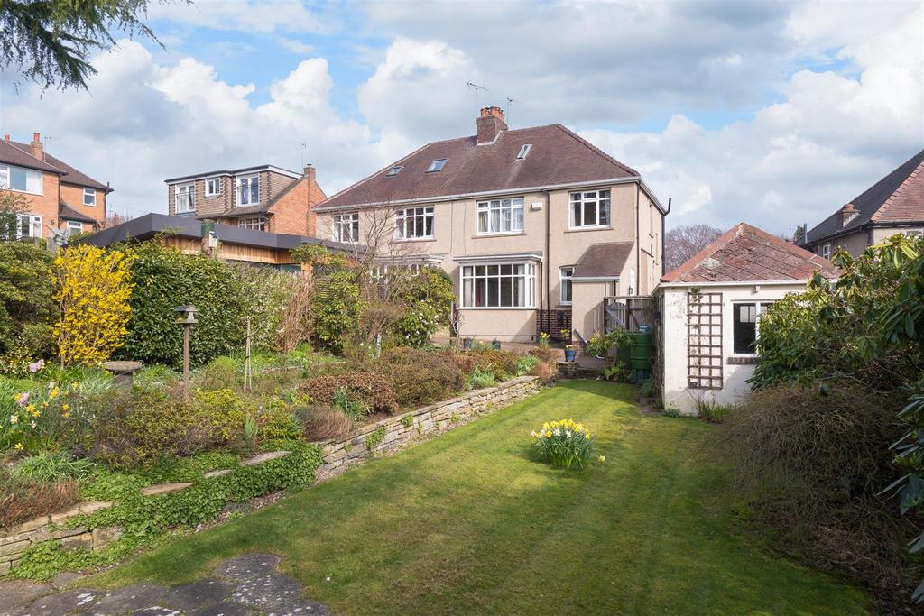 Untitled (6 of 34).jpg