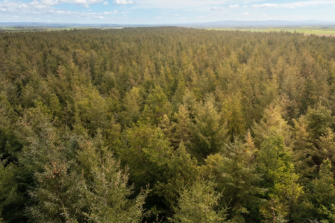 undefined, Eaglesfield DG11