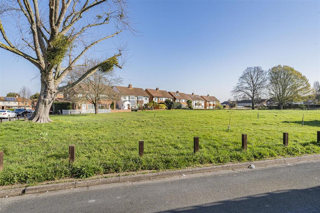 Photo Mar 19 2026, 10 01 52 AM.jpg