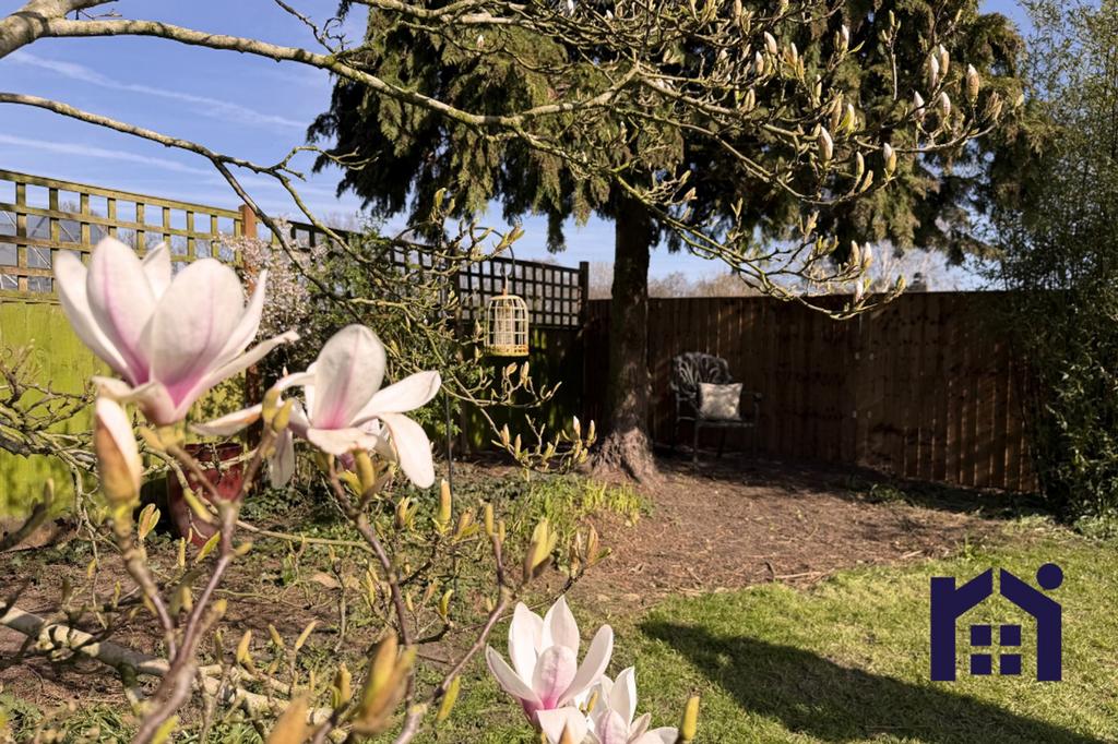 In bloom