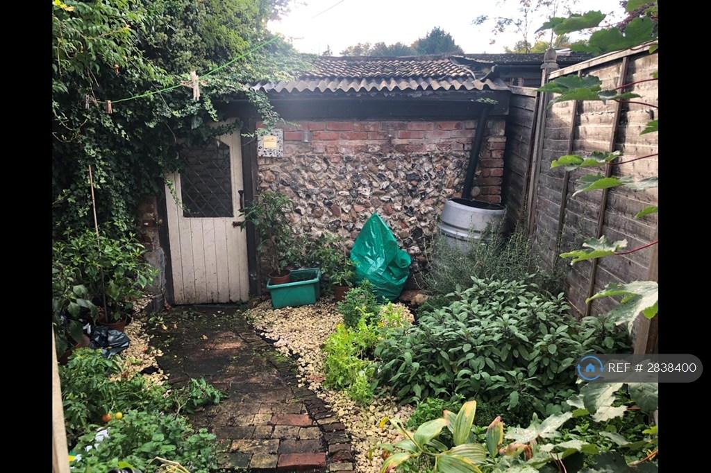 Rear Courtyard Garden