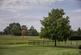 Additional image 21 of Miles Lane, Whiteparish