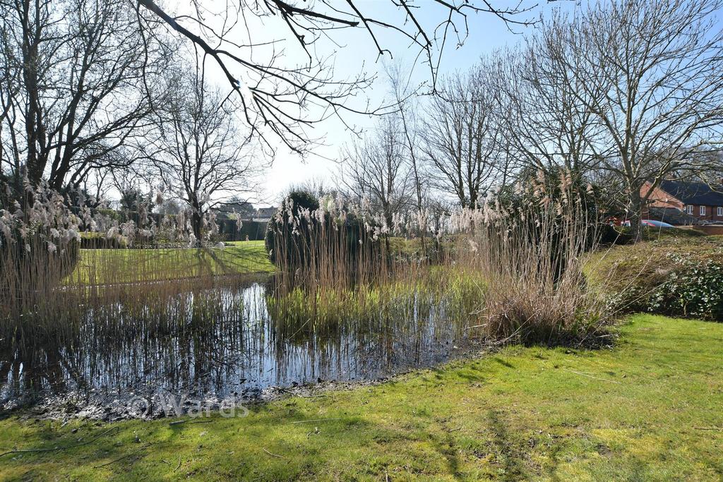 Surrounding Area