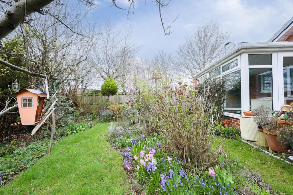 Rear garden.jpg