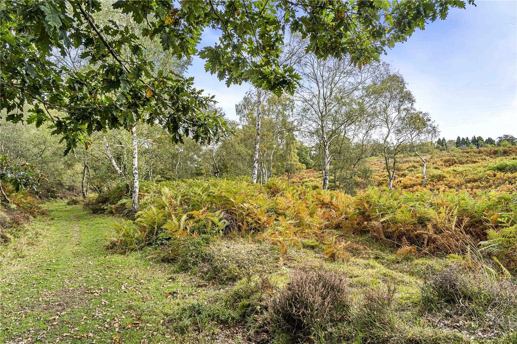 Ancient Woodland