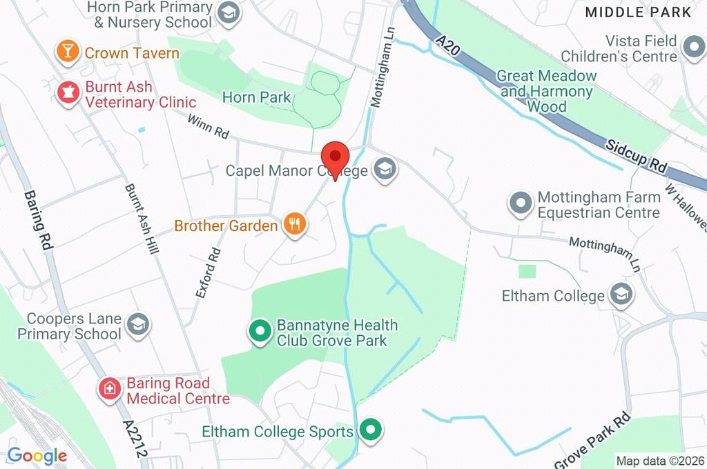 Google Maps Image
