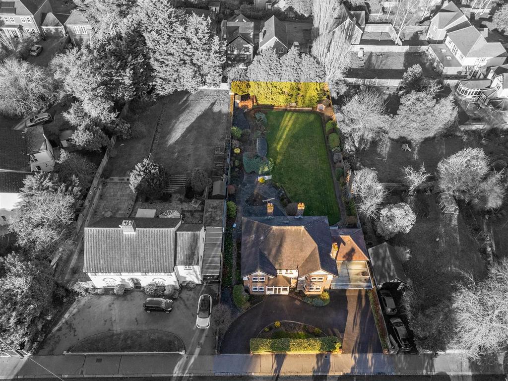 DJI 20260214090123 0043 D b&amp;W.jpg