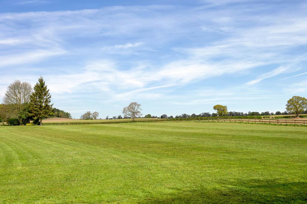 Grounds