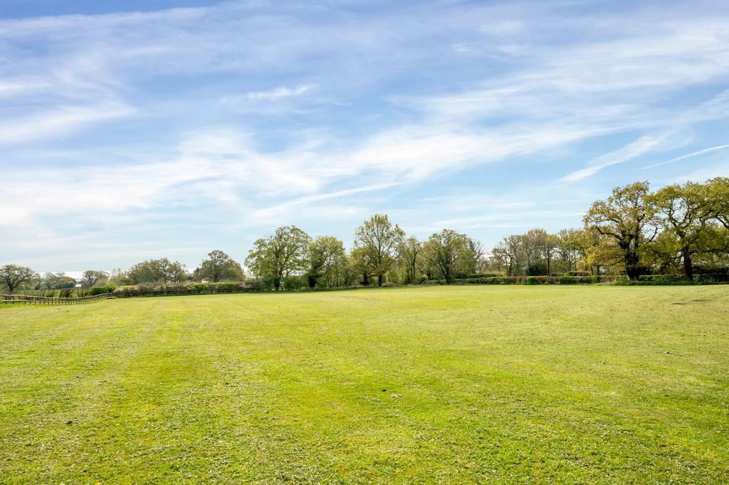 Grounds