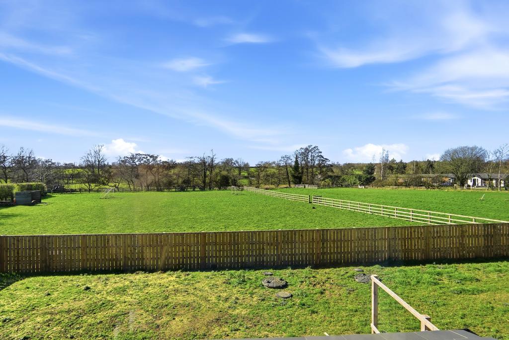 Schoolpastures026