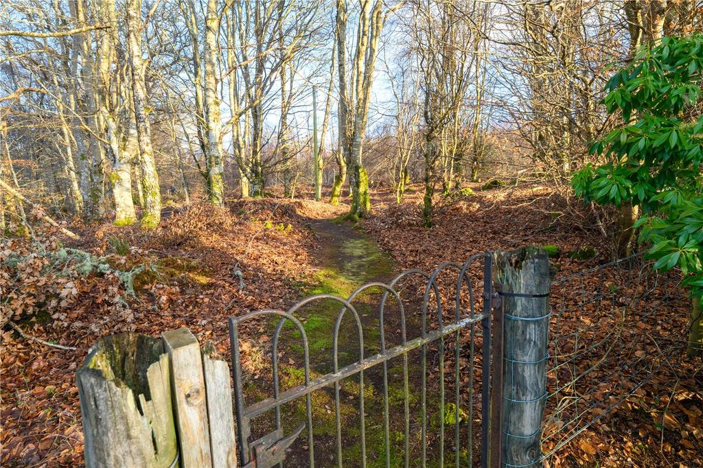 View To Woodland