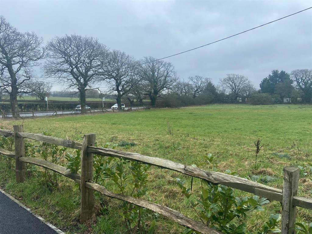 View of field from road.jpg