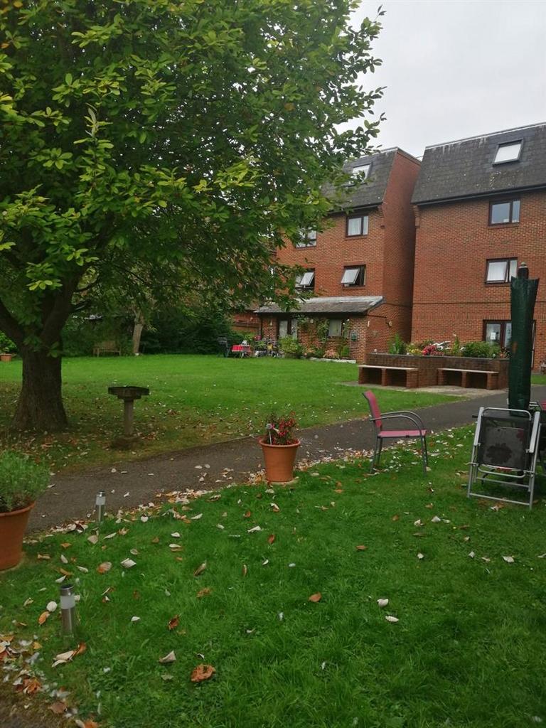 External Garden.jpg