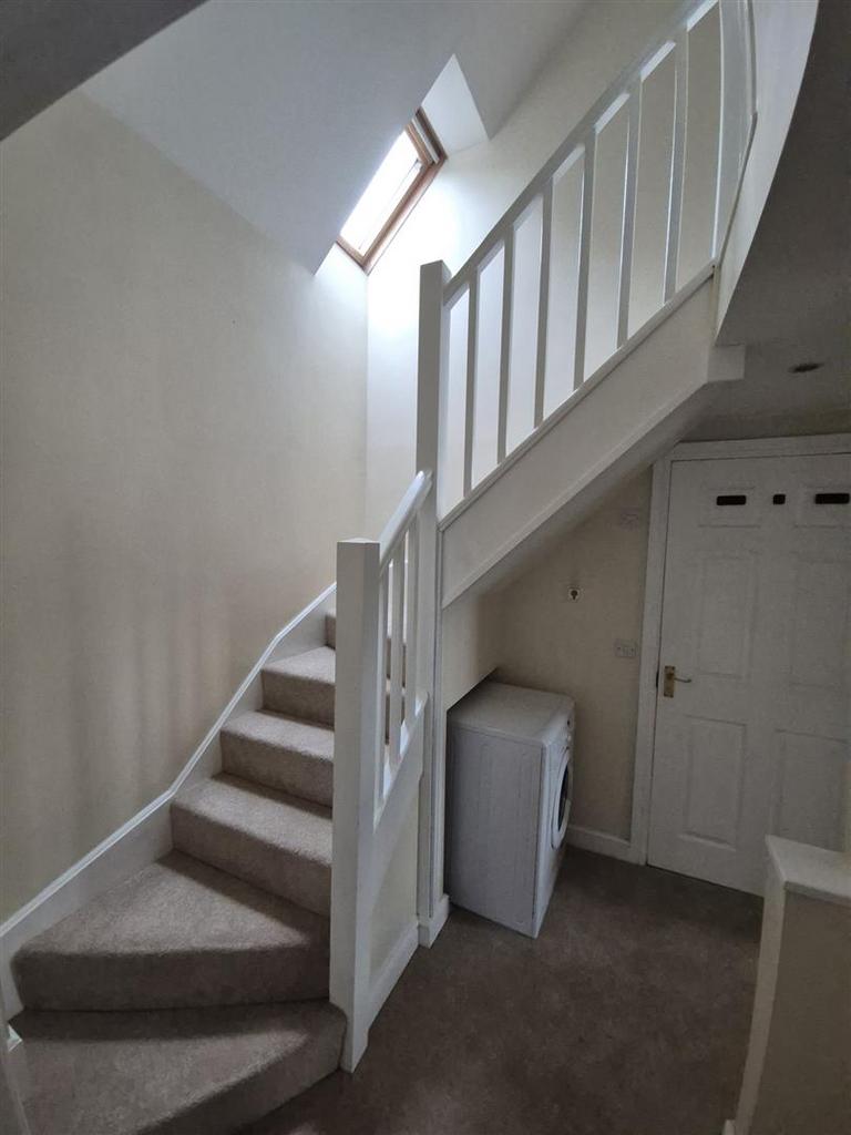 20260211 112200 resized.jpg