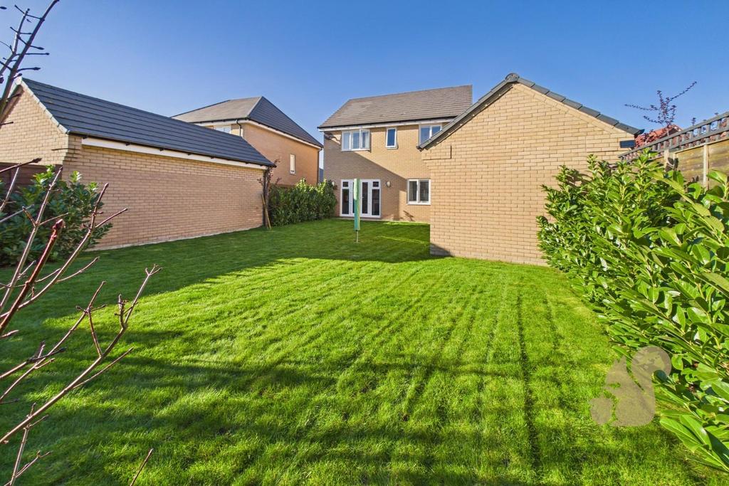 Rear Of Property