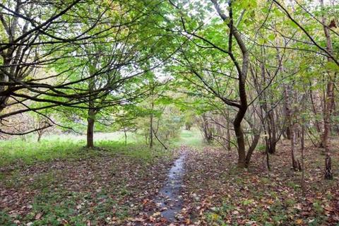 undefined, Broxburn, West Lothian EH53