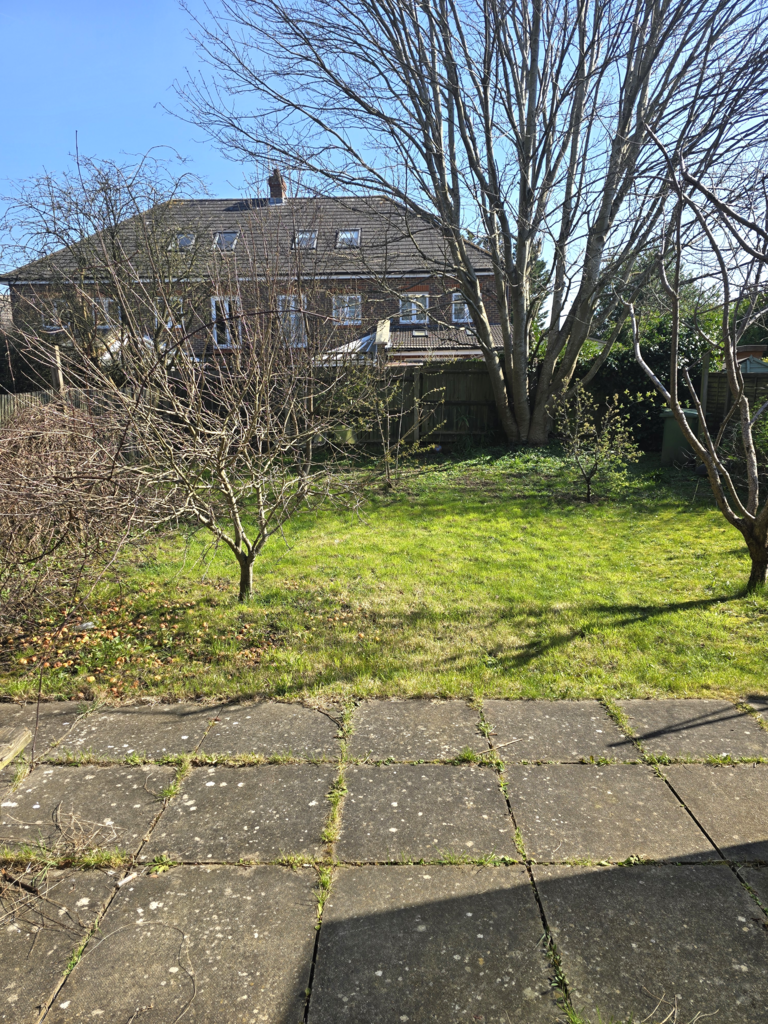 Back Garden