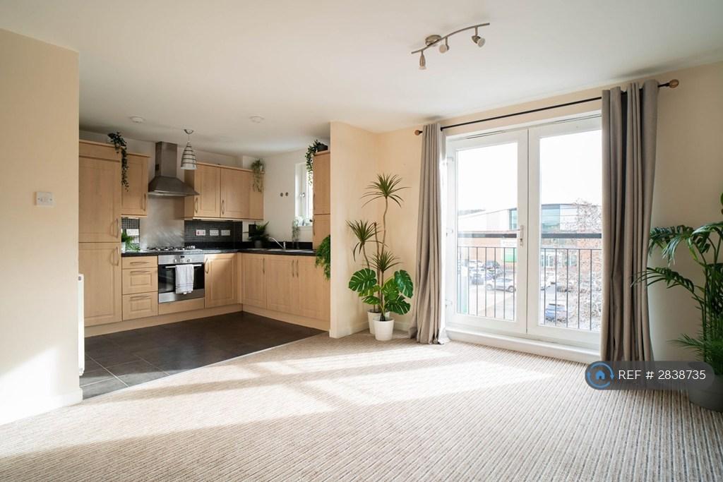 Open Plan Living / Kitchen / Dining
