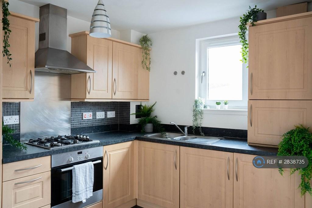 Open Plan Living / Kitchen / Dining