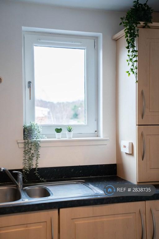 Kitchen Details