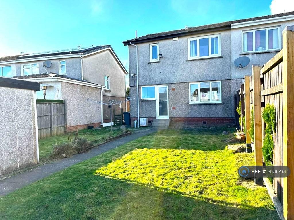 Back Garden