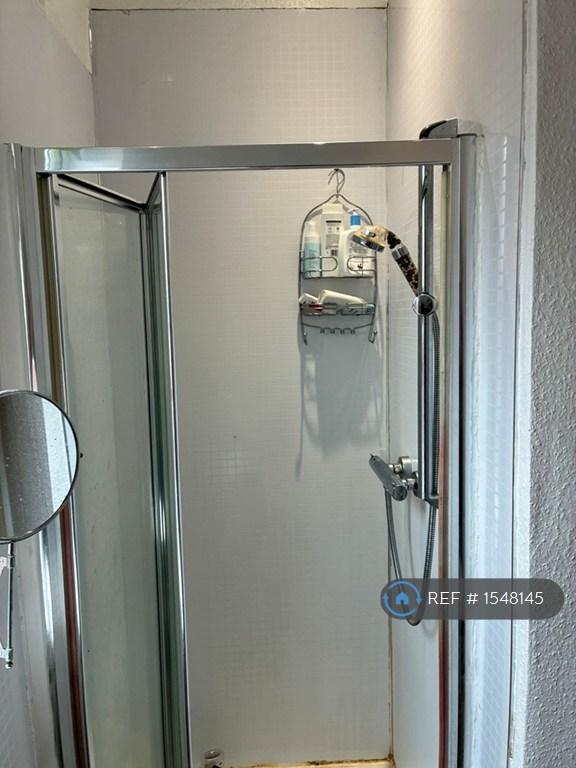 Shower Main Bathroom