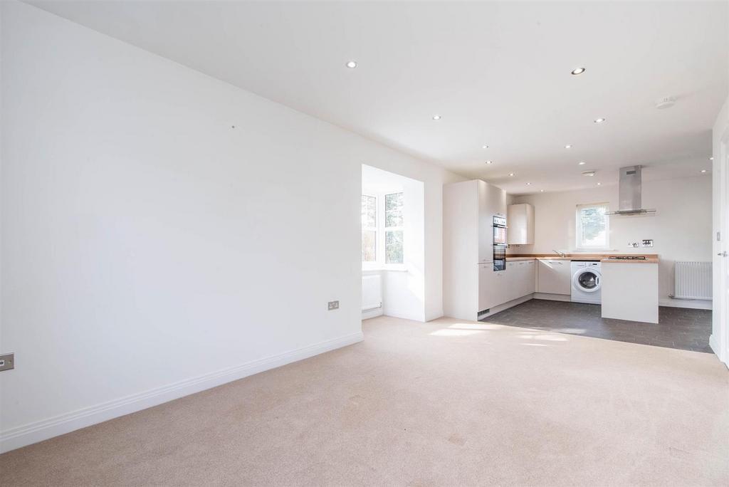 Kitchen/Diner/Family Room