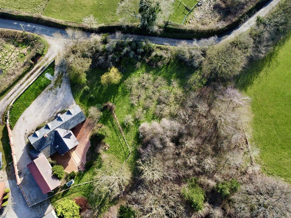 Dji fly 20260318 152500 338 1773848332697 photo op