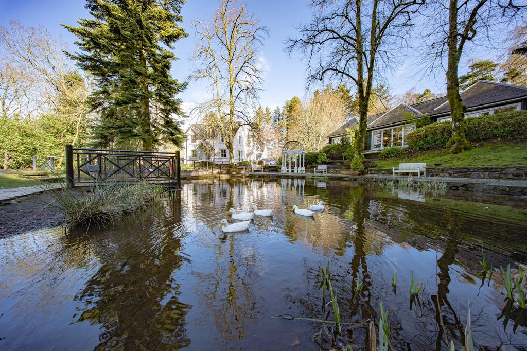 Duck Pond
