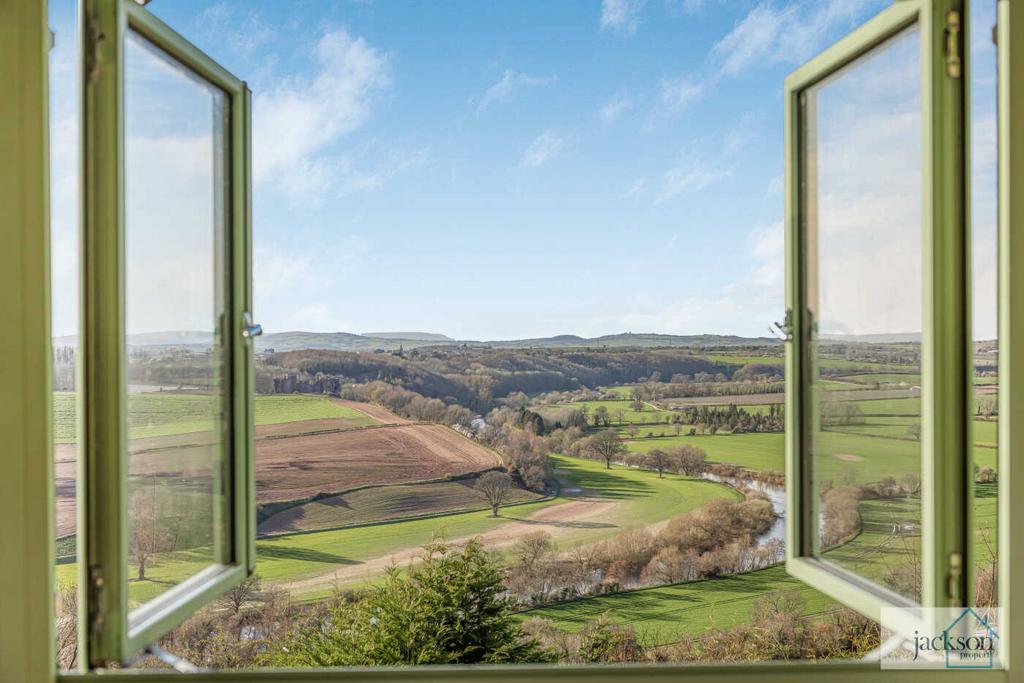 20 wye view