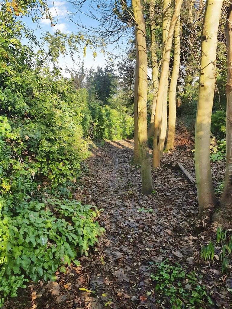 Wooded Garden