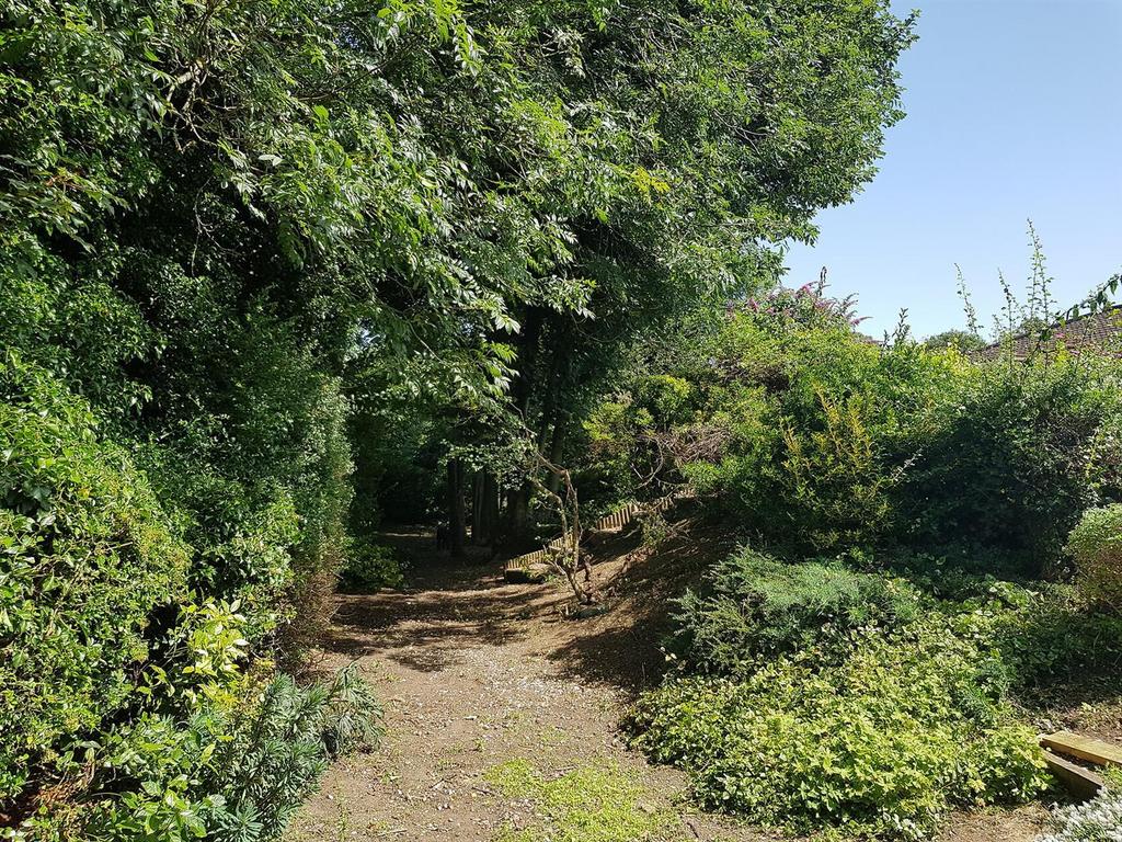 Wooded garden