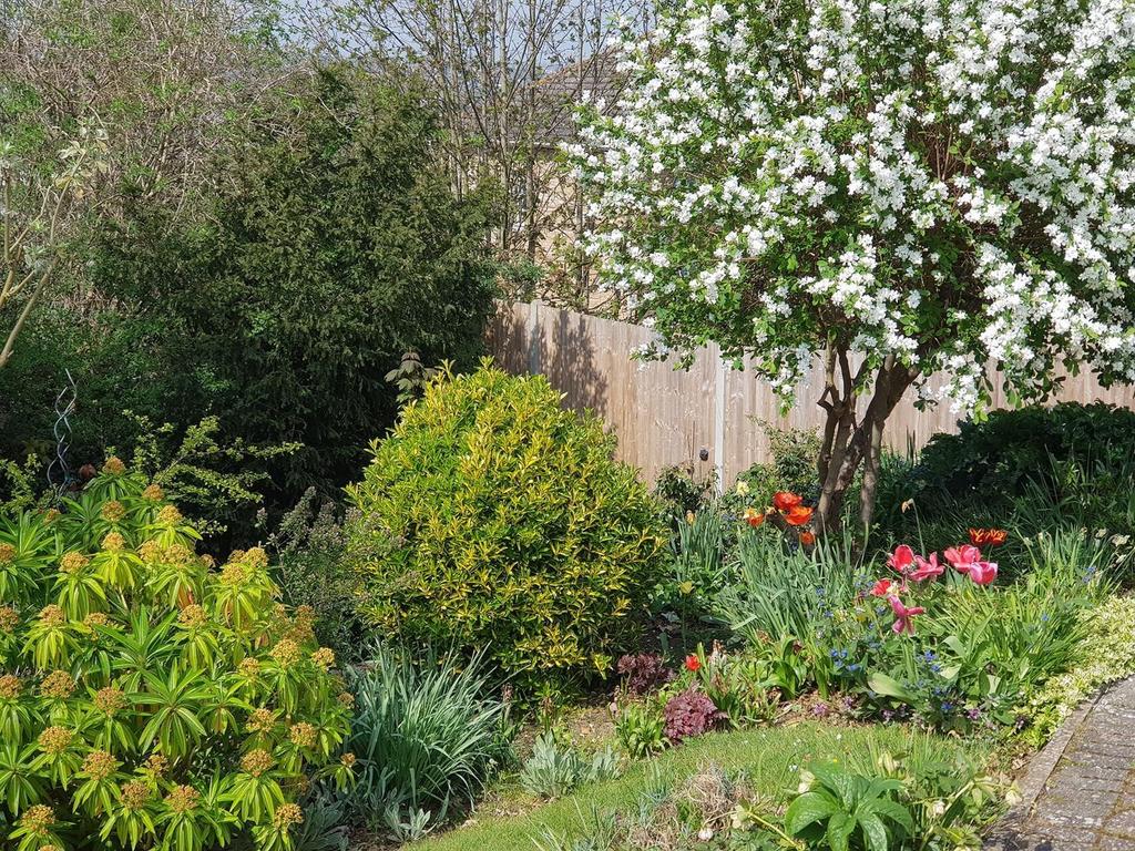 Wooded Garden