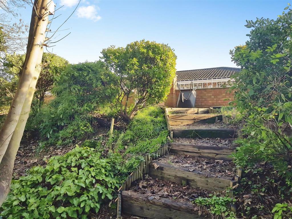 Wooded Garden