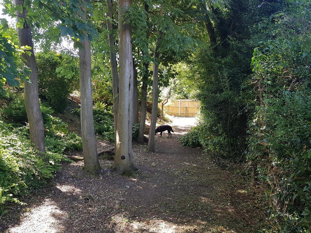 Wooded Garden