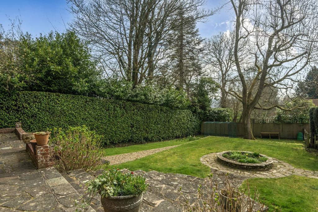 South Facing Garden
