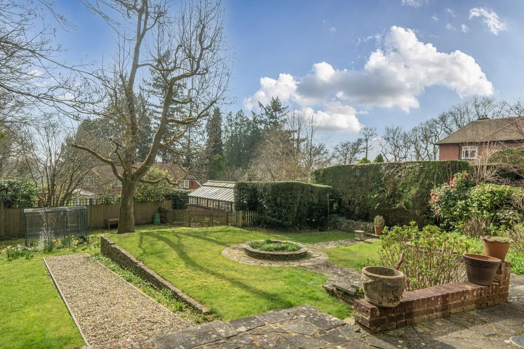 South Facing Garden