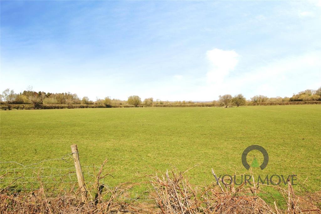 Field View