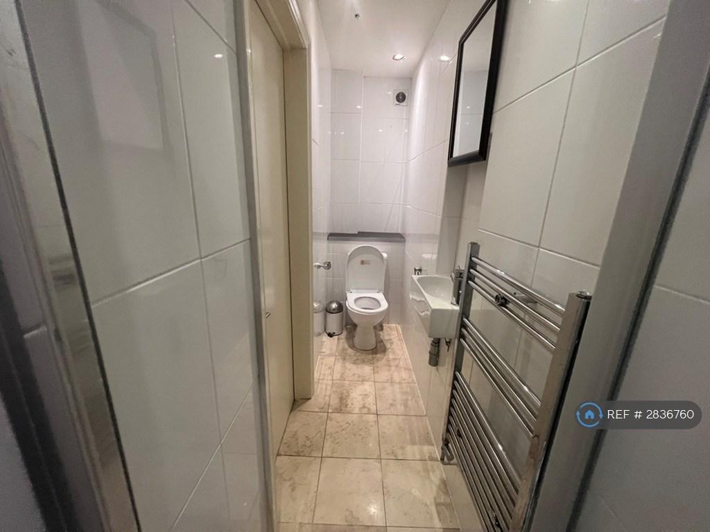 Bathroom Downstairs (View #2)