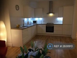 Living Area/Kitchen