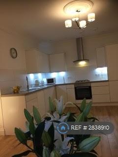 Living Area/Kitchen