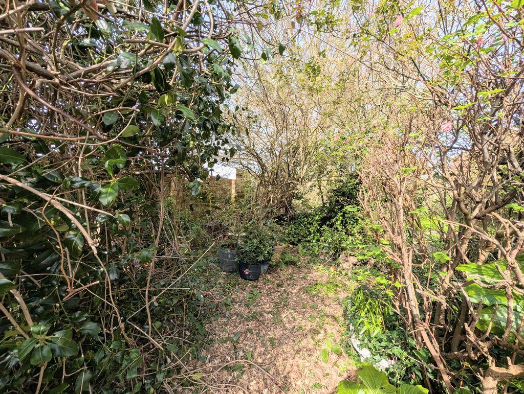 Rear garden view 3
